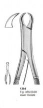  Fig. 355-23SK lower molars 